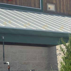 05ffcd42-578f-40c2-8837-cf11e349cc2c_item_6215312d-a42f-49f6-9dea-2ab690dbcc84