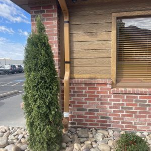 cf3ec1b4-51e9-4ecc-aa28-df85c66a62c8_item_8b225c96-214d-404b-9604-10e7d98d1853