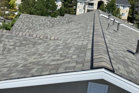 item_194351c5-57f6-485a-a823-e0ffa37570ed